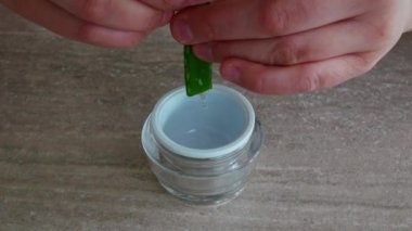 Yakın plan Aloe vera yaprağı ve krema kabı