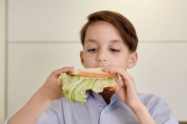 Mutfakta durup sandviç yiyen esmer bir çocuğun yakın çekimi..