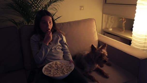 Chica asustada viendo televisión y comiendo palomitas de maíz. Cerca se encuentra un hermoso perro . — Vídeos de Stock