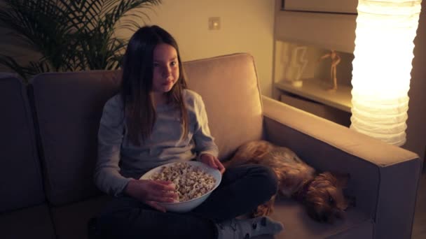 La chica mira cuidadosamente la televisión con su lindo perro . — Vídeos de Stock