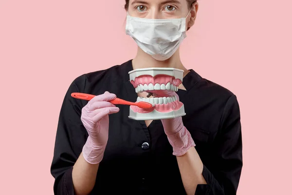 Primer plano de mandíbula artificial y cepillo de dientes . —  Fotos de Stock