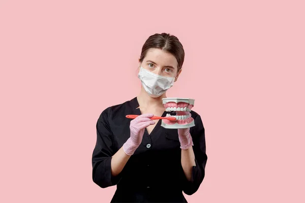 Jonge vrouw tandarts in een masker met kunstmatige kaak handen. — Stockfoto