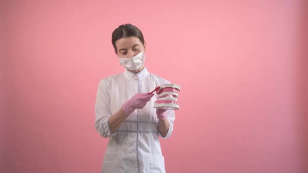 Стоматолог чистит искусственную челюсть зубной щеткой . — стоковое видео