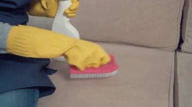 Eldivenli bir elin yakın çekimi, fırça kanepesini temizler. Ev temizliği.