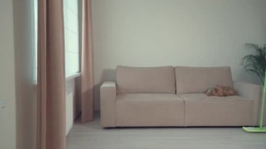 Kız bir kova ve bir paspasla odaya girer. Yerleri yıka.