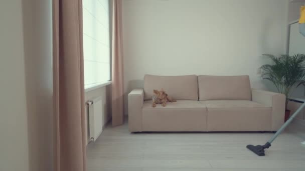 Gadis membersihkan rumah, Vacuums, tersenyum dan menari. Ada anjing di sofa.. — Stok Video