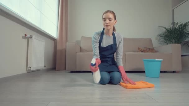 A girl sitting on her knees applies household chemicals to floor and washes it. — Stock Video