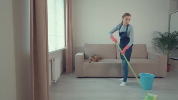 Ein nettes Mädchen putzt gerade das Wohnzimmer. Den Boden wischen. Auf der Couch liegt ein Hund. — Stockvideo