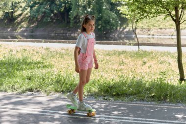 Heyecan verici bir hobi kaykay yapmaktır. Kız ve kaykay. Spor yaşam tarzı..