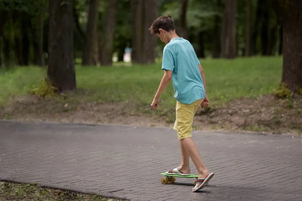 Um adolescente monta no parque em um skate ao longo de um caminho entre as árvores . — Fotografia de Stock