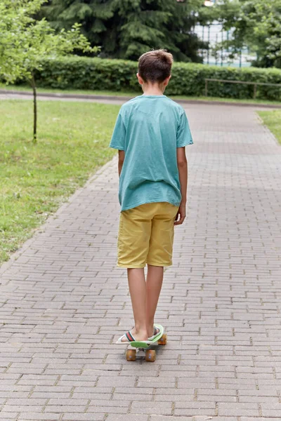 Um skate no parque. Vista pelas traseiras. Um caminho entre as árvores . — Fotografia de Stock