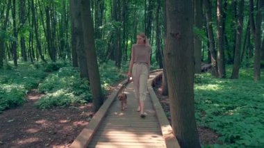 Kız tasmalı bir köpekle yürüyor, sağdan sola gidiyor. 4k