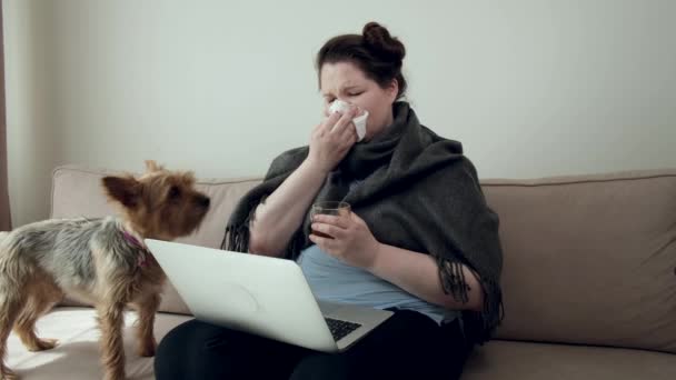 Chica enferma bebe té caliente de una taza y mira a la pantalla del ordenador portátil. — Vídeo de stock