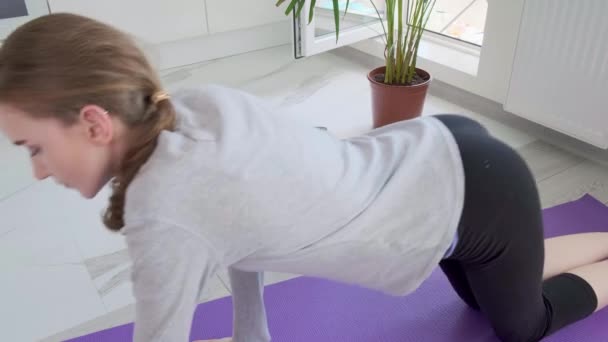 Młoda zdrowa kobieta robi ćwiczenia deski w domu. — Wideo stockowe