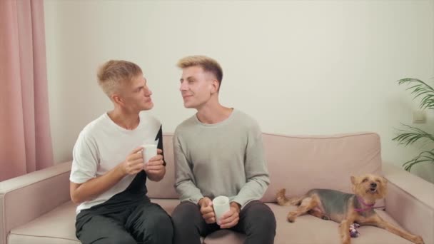 Gay paar communiceren terwijl zitten op de bank het drinken van thee of koffie. — Stockvideo