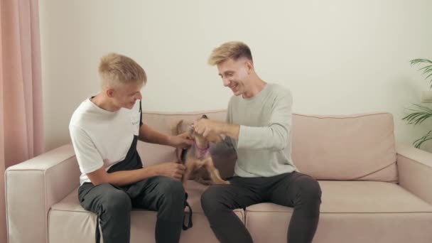 Paar man gay paar spelen thuis terwijl zitten op de bank met een hond. — Stockvideo