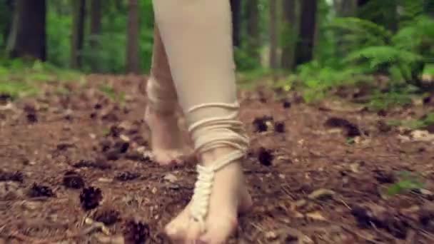 Los pies desnudos caminan por el bosque, agujas de abeto y damas. — Vídeo de stock