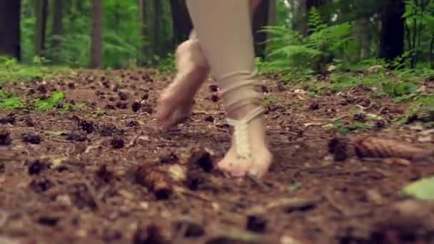 Barefoot mooie benen lopen door het bos, dennennaalden en dammen. — Stockvideo