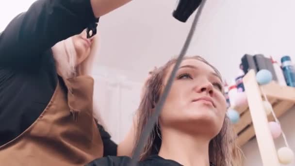 Ir a um salão de beleza. Mulher cabeleireiro profissional seca o cabelo com um secador de cabelo — Vídeo de Stock