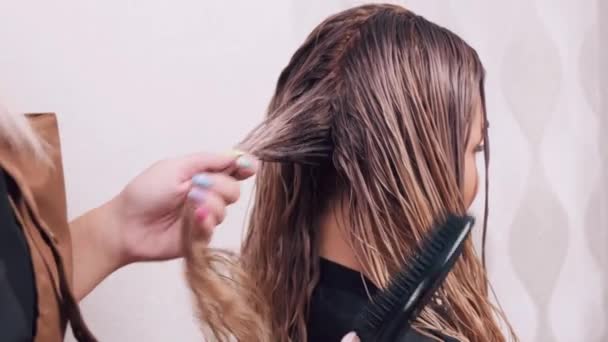 Professionele haarverzorging. kapper kammen lang nat haar in een schoonheidssalon. — Stockvideo