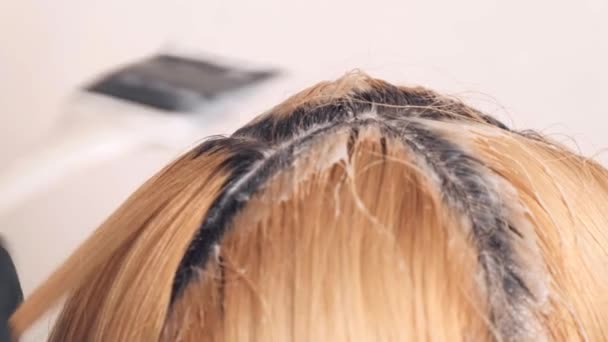 Närbild färg på hårrötterna, blont hår. Professionell hårvård. — Stockvideo