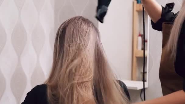 Profesjonalna pielęgnacja włosów. Suche długie zdrowe blond włosy z suszarką do włosów. — Wideo stockowe