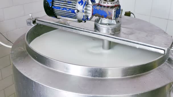 乳製品工場 でのチーズ生産のプロセスのビデオ クリップ — ストック動画