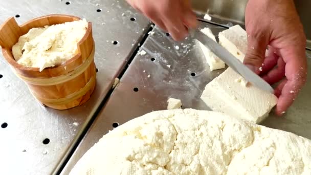 Processo Produção Queijo Fábrica Laticínios Video Clip — Vídeo de Stock