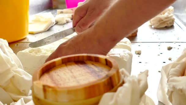 Procédé Production Fromage Dans Usine Laitière Clip Vidéo — Video