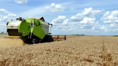 Birleştirme yapar bir yaz hasat tahıl, 4k Video klip