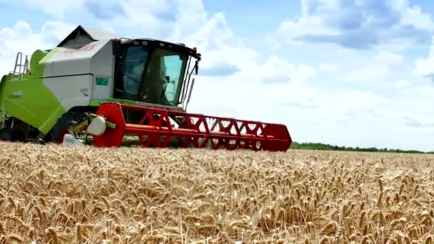 Zrenjanin Serbia June 2018 Harvest Grain Combine Harvester Video Clip — стоковое видео