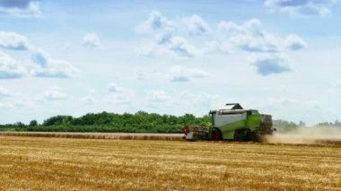 Birleştirme yapar bir yaz hasat tahıl, 4k Video klip