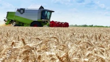 Birleştirme yapar bir yaz hasat tahıl, 4k Video klip
