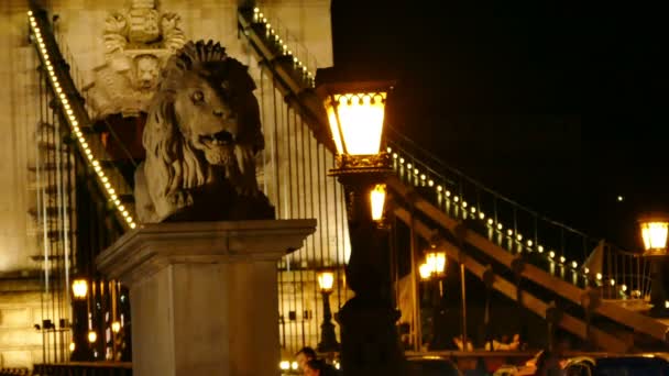 Budapest Hungary 27Th July 2018 Beautiful Chain Bridge Hungary Who — Stock Video