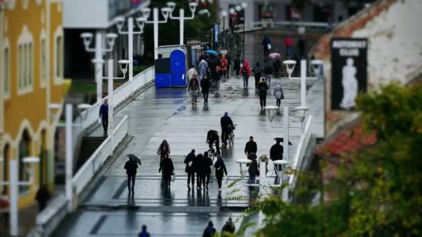 Zrenjanin Srbsko Října 2018 Lidé Deštníky Projít Ulicemi Města Deštivý — Stock video