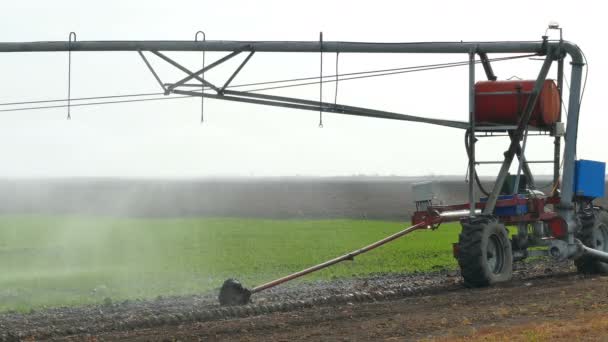 浇灌系统 灌溉的领域 视频剪辑 — 图库视频影像