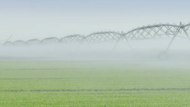 Sistema Rega Irrigação Campo Video Clip — Vídeo de Stock