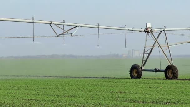 Sistema Riego Riego Del Campo Video Clip — Vídeo de stock