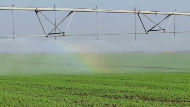 Drenken Van Systeem Irrigatie Van Het Veld Video Clip — Stockvideo