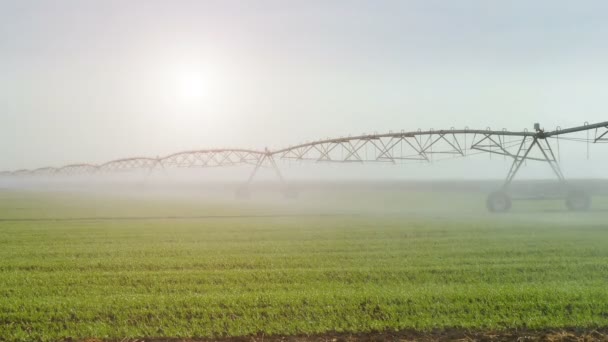 Sistema Riego Riego Del Campo Video Clip — Vídeo de stock