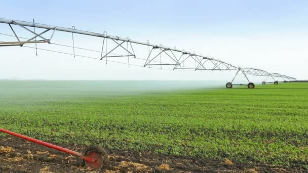 Sistema Rega Irrigação Campo Video Clip — Vídeo de Stock