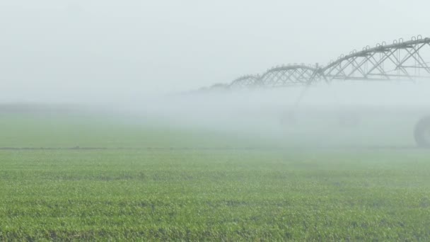 Sistema Rega Irrigação Campo Video Clip — Vídeo de Stock