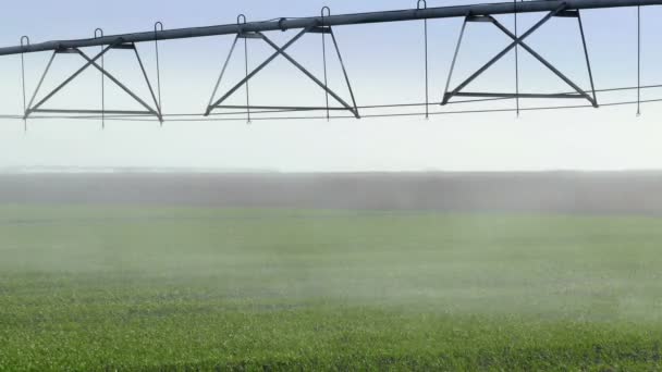 ビデオ クリップのフィールド の灌漑システムの水やり — ストック動画