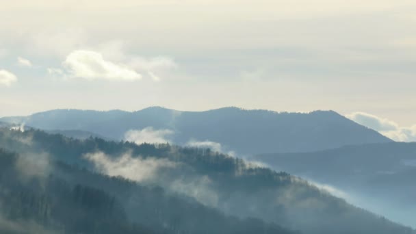 Idylle Hivernale Dans Région Montagneuse Clip Vidéo — Video