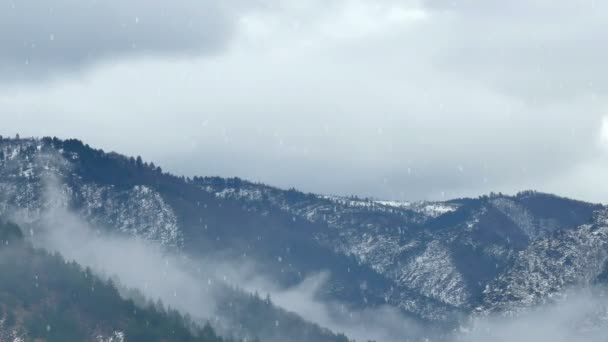 Idylle Hivernale Dans Région Montagneuse Clip Vidéo — Video