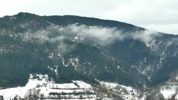 Vinter Idyll Det Bergiga Området Videoklipp — Stockvideo
