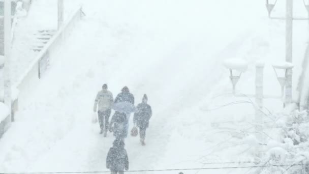 Ζρένιανιν Σερβία Δεκεμβρίου 2018 Άνθρωποι Περπατούν Κατά Μήκος Χιόνι Σκεπαστή — Αρχείο Βίντεο