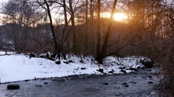 Nehir Kış Dağ Bölgesinde Video Klip — Stok video