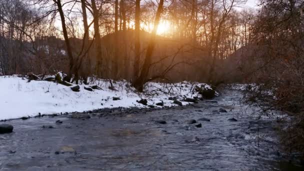 ビデオ クリップ冬山地区の川 — ストック動画