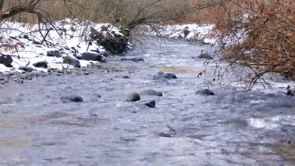 Rivière dans la région de montagne d'hiver, Clip vidéo 4k 